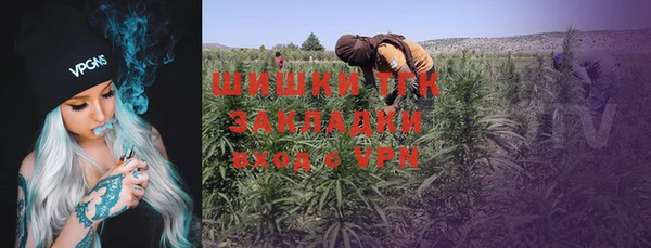 PSILOCYBIN Пестово