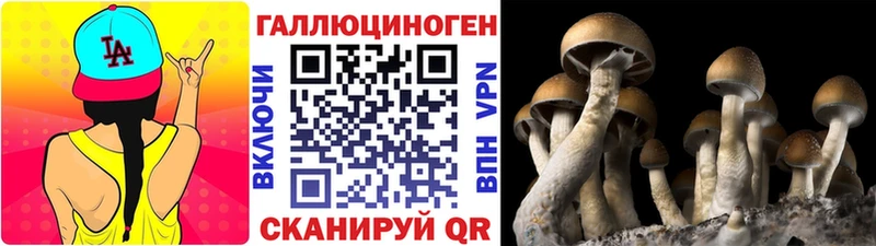 купить цена Чайковский Псилоцибиновые грибы ЛСД